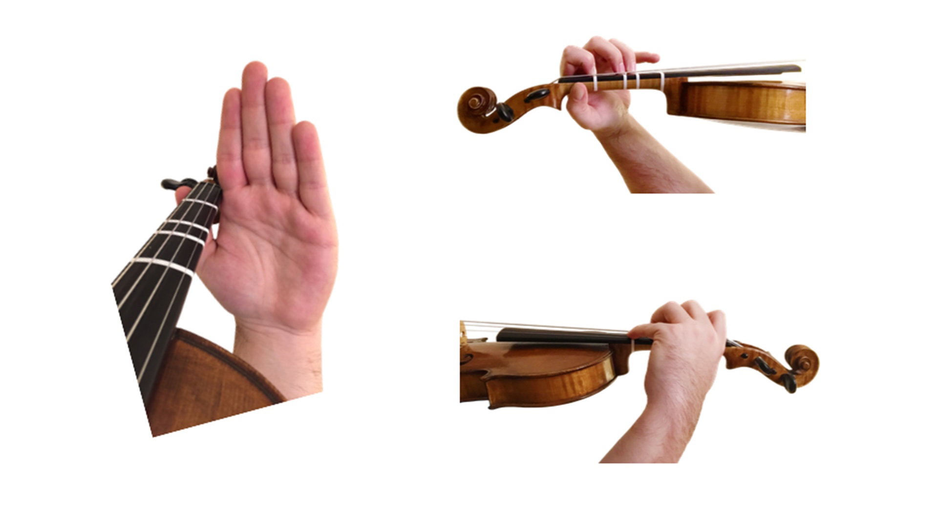 Position idéale de la main gauche au violon. Bout du pouce aligné avec la touche et avec le premier doigt, index dont le premier pli est aligné avec la touche. Poignet très légèrement plus sorti vers la volute, mais à peine. Portion droite de la main et de l'avant-bras alignés. Main tournée vers le violon sans forcer. Paume de la main ouverte. Détente totale.