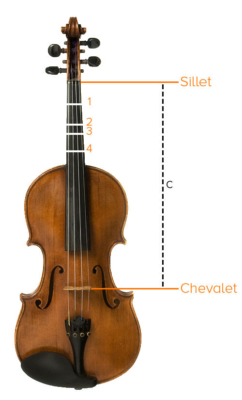 Collants pour violon