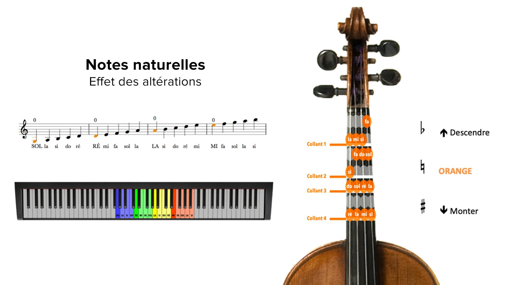 Toutes les notes naturelles sur le violon